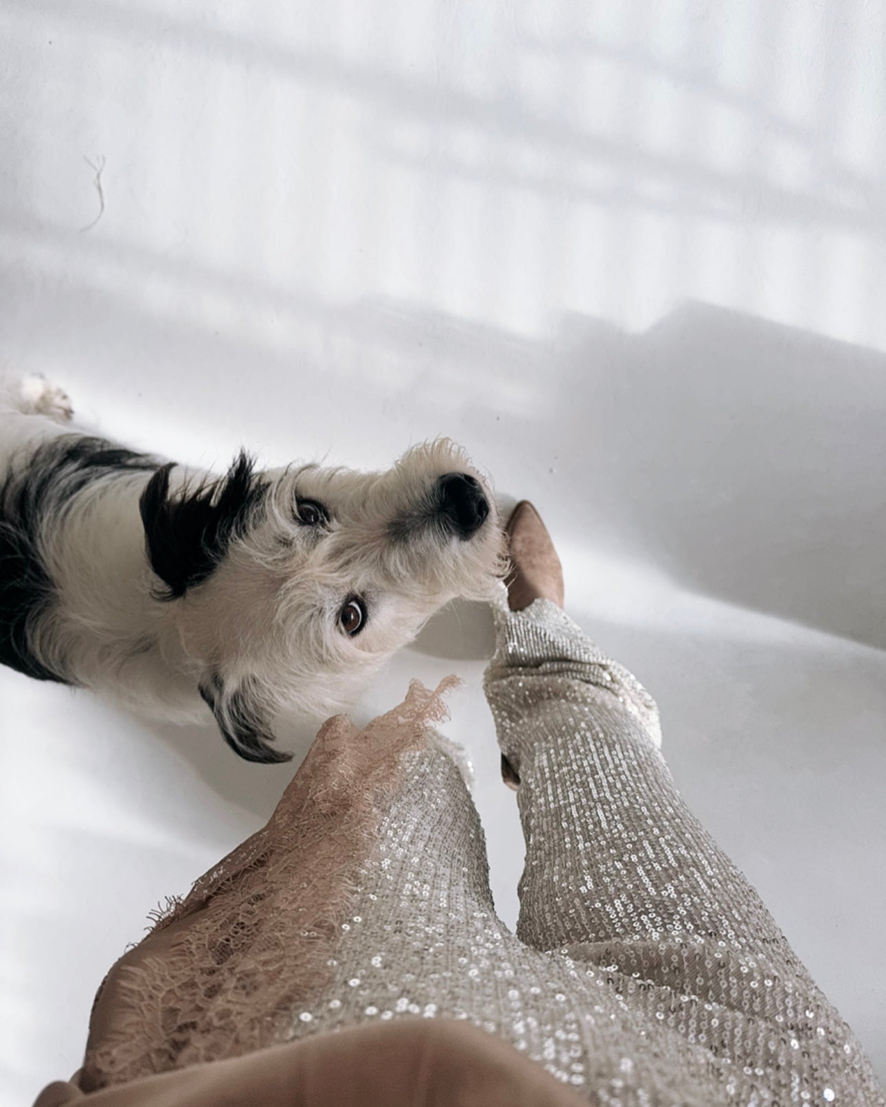 Paillettenhose Champagner