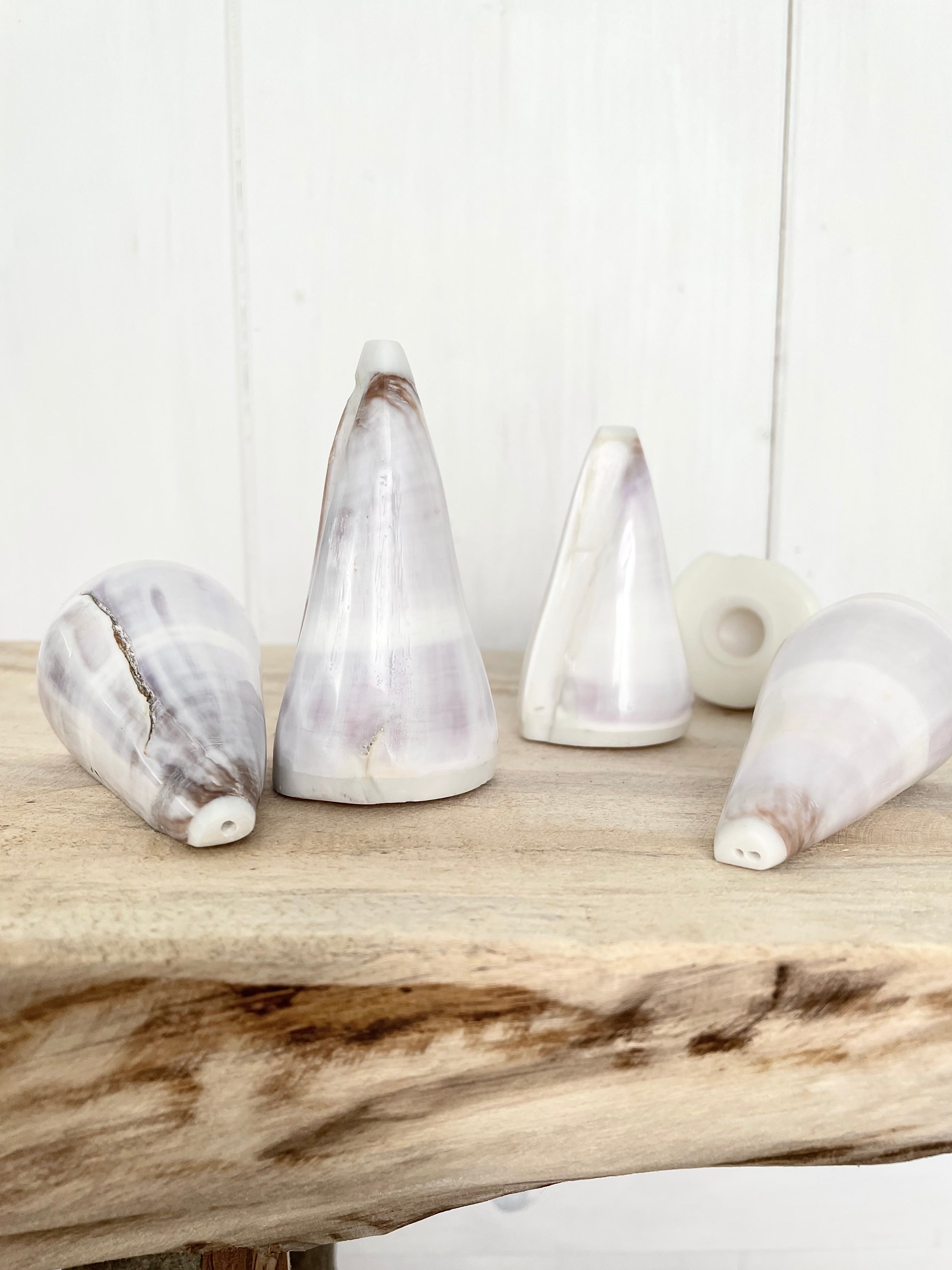 Shell Salt & Pepper Shakers