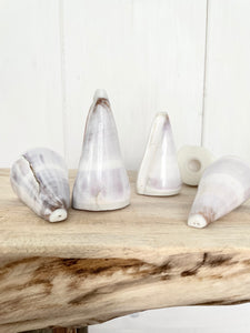 Shell Salt & Pepper Shakers