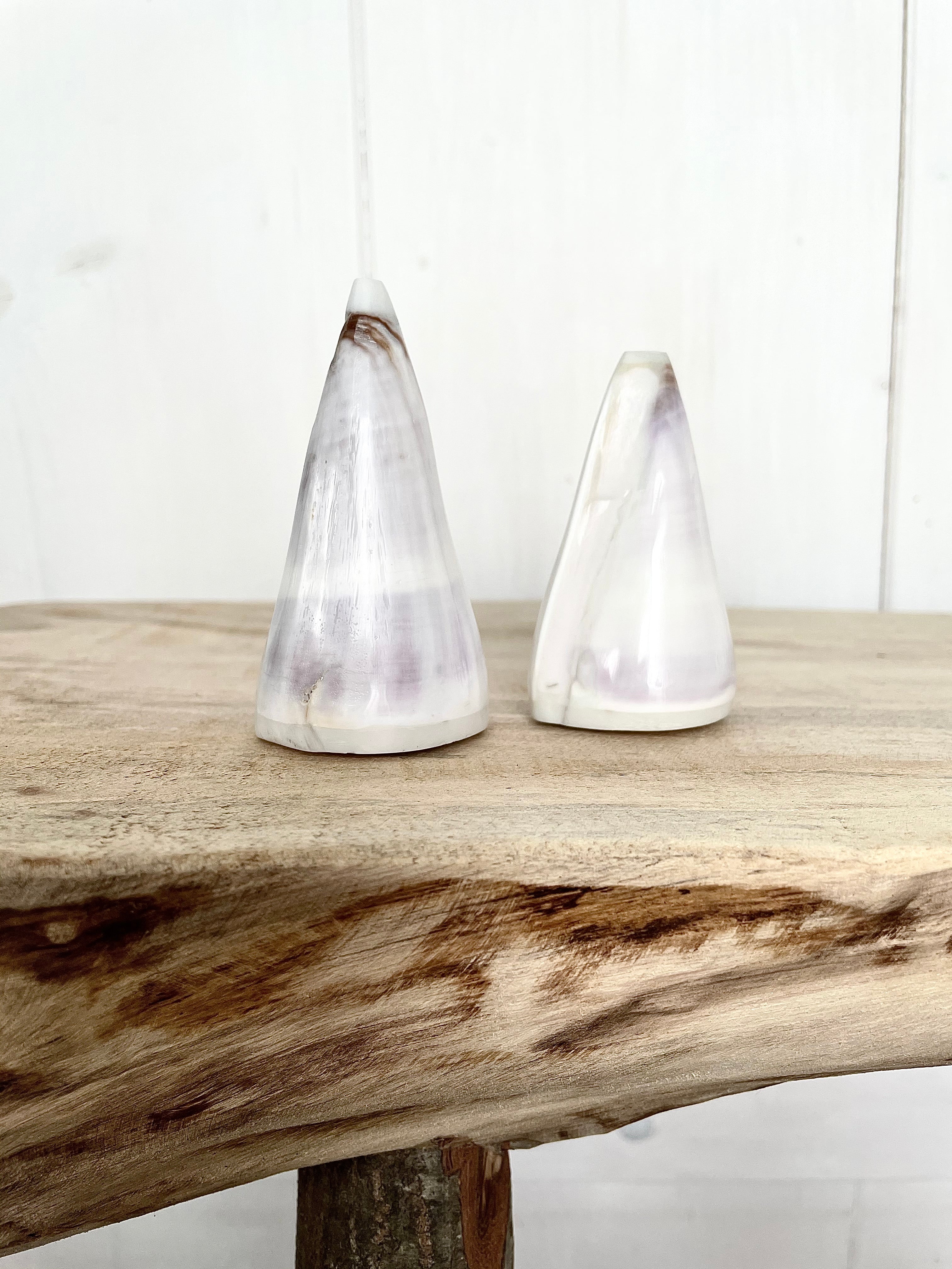 Shell Salt & Pepper Shakers