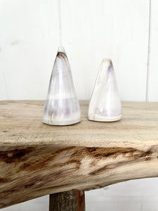 Shell Salt & Pepper Shakers