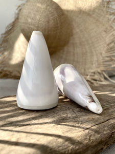 Shell Salt & Pepper Shakers